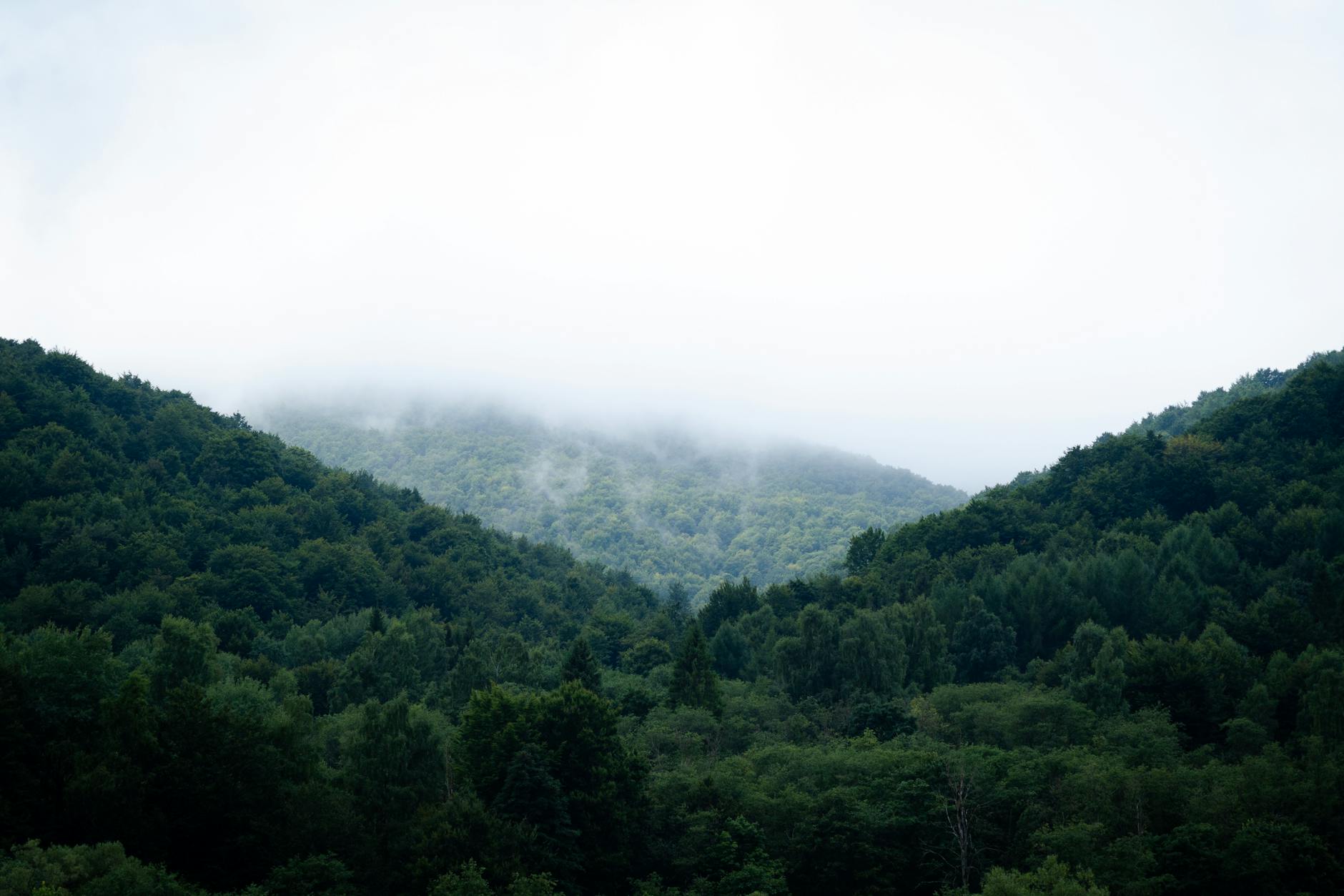 Ilustracja symbolizująca Dzień Ziemi z elementami przyrody i miasta Łaziska Górne.